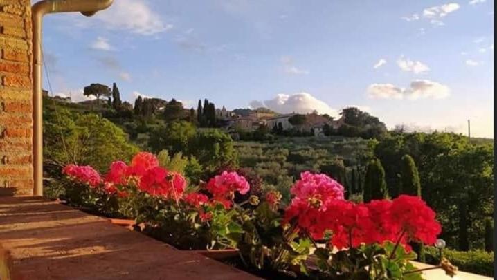 Apartament Leonaerdo Guests House Panicale Zewnętrze zdjęcie